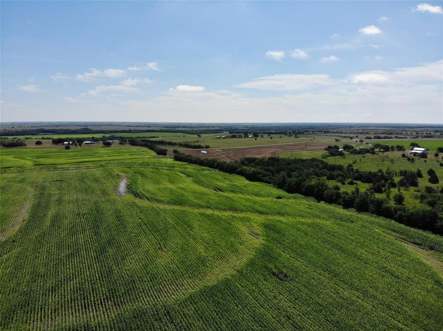 Centrally Located 1 Hour South of the DFW Metroplex, 20 Minutes From Hillsboro and 45 Minutes From Waco. Currently used for equine and agriculture, this land is located in the right spot for future commercial or residential development! A great piece of Texas to break ground on, or land bank while you run cattle, hunt and raise crops.