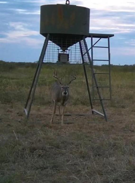 Bellevue Estates - Land