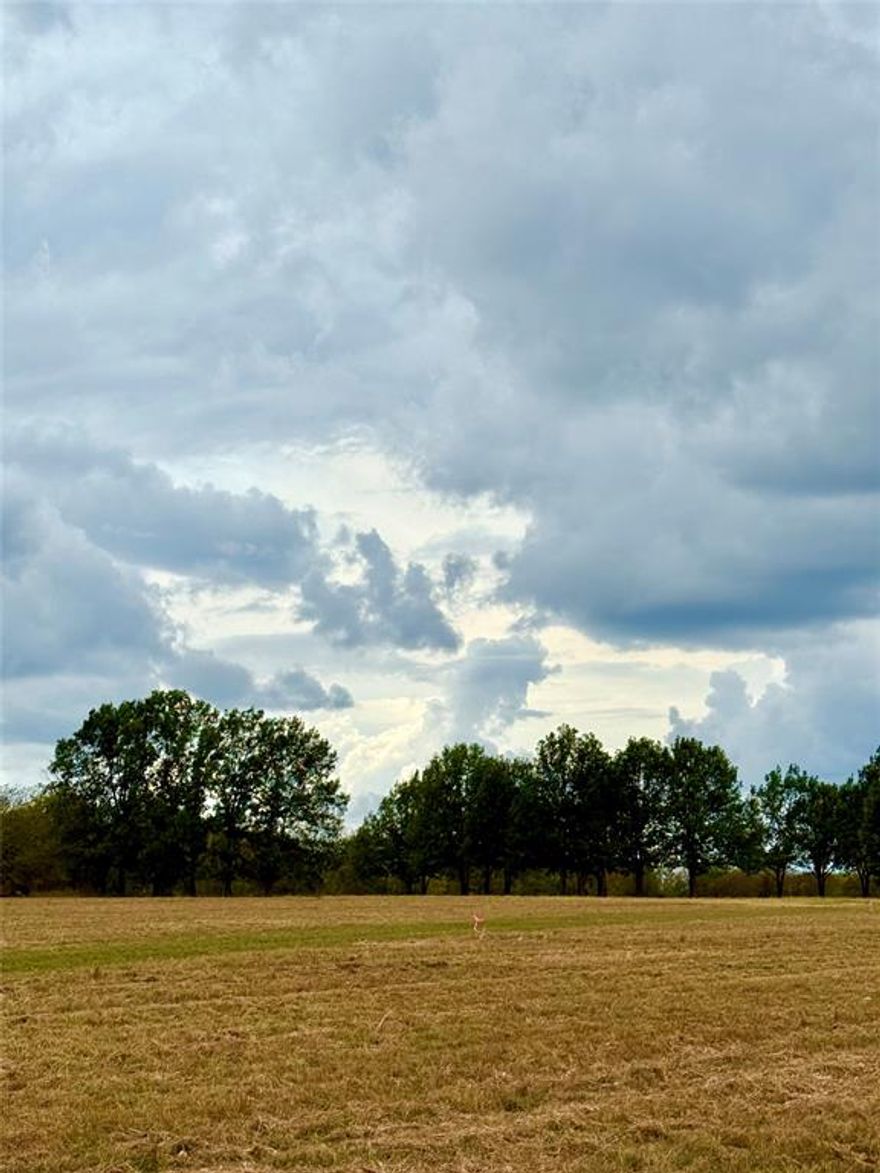 This beautiful 1 Acre Tract offers the perfect blend of space, privacy, and freedom to build your dream home. With plenty of room for a custom house, shop, or outdoor living space, you'll enjoy a peaceful country living just minutes from town. No HOA and flexible building options make this an Ideal spot to bring your vision to life. Utilities available at the road. New road and upgraded water line and electric.  Don't miss out we only have a few! Bring your custom builder. Seller is a licensed realtor