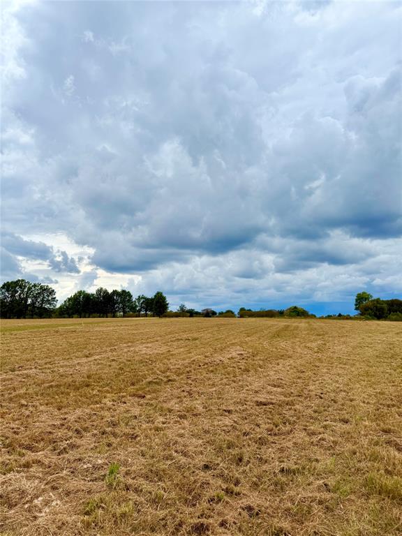 TBD Lot 8 County Road 3811