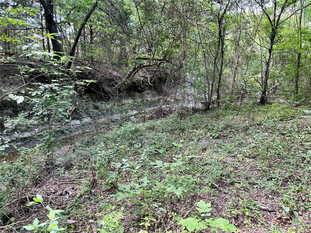 G T Sullenger Surv Abs #1181 - Land