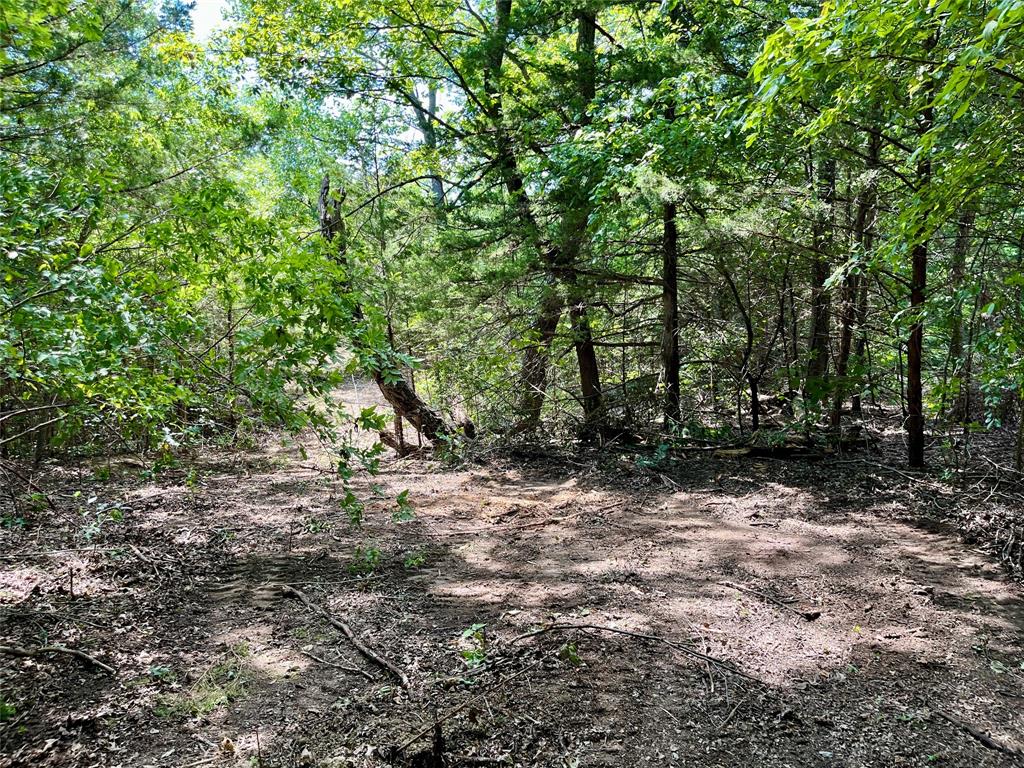 G T Sullenger Surv Abs #1181 - Land