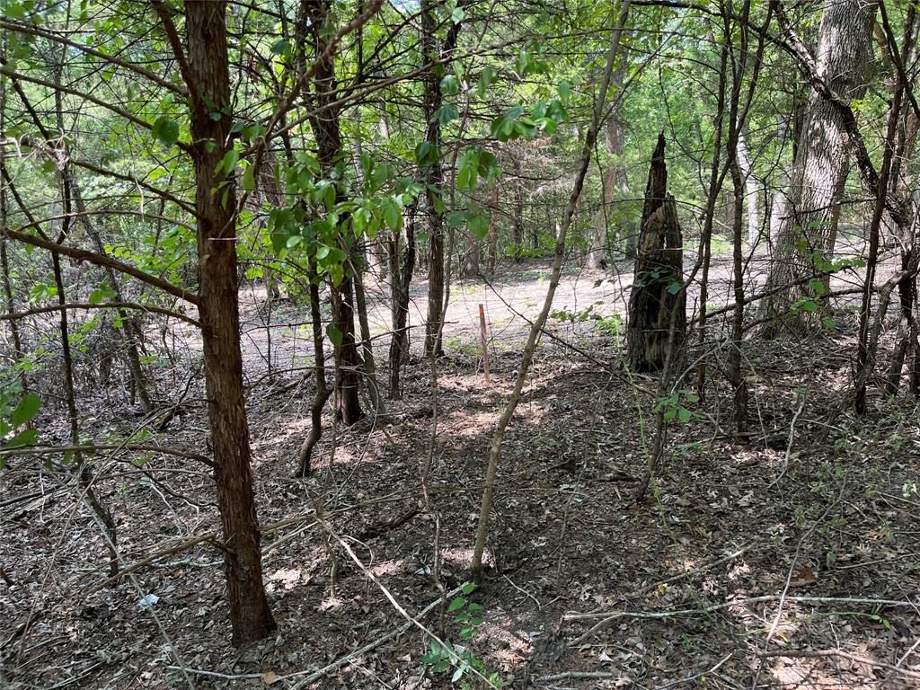 G T Sullenger Surv Abs #1181 - Land