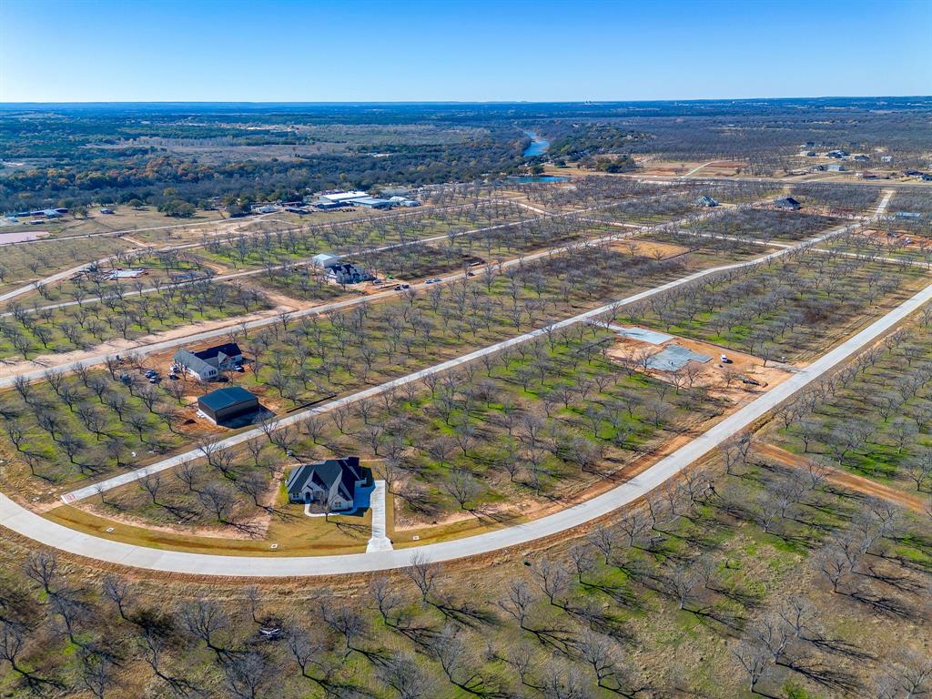 Pecan Plantation - Land