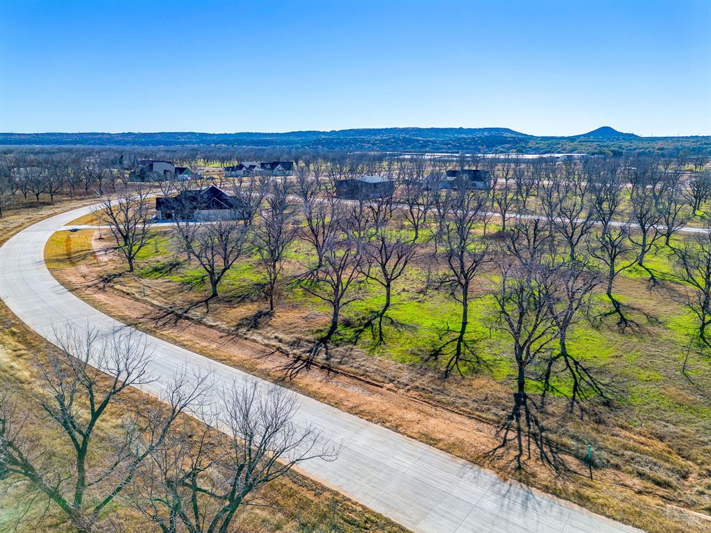 Pecan Plantation - Land