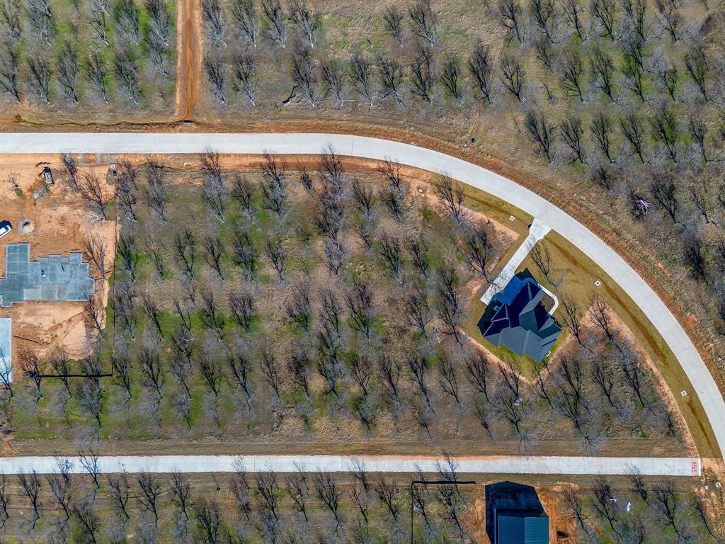 Pecan Plantation - Land