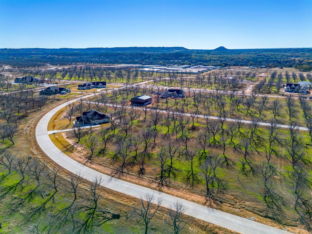 Pecan Plantation - Land