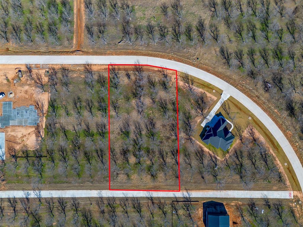 Pecan Plantation - Land