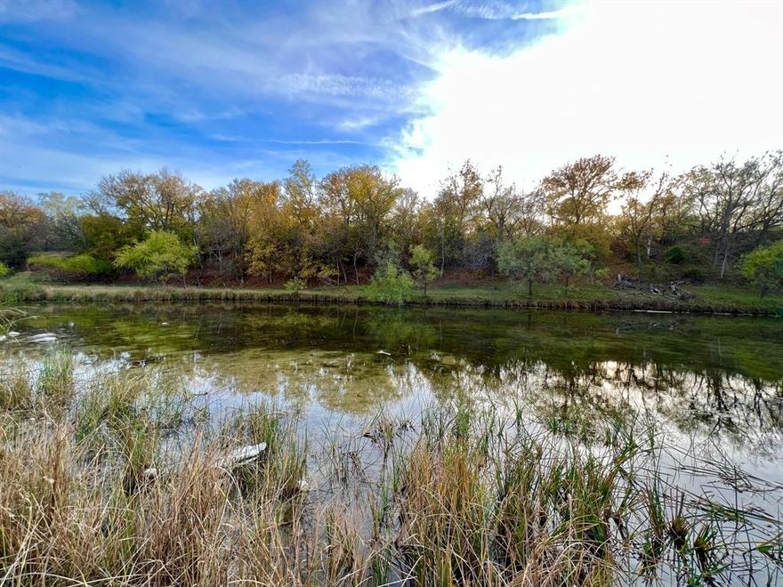 302 acres of premium hunting property in Southern Coleman County.  Bordered on the south side by nearly one mile of Colorado River frontage that is easily accessible by car or UTV.  You can drive or walk right to the water’s edge!  The river is bordered by a thick grove of Oak, Elm, & Mesquite providing cover for wildlife including multiple flocks of wild turkey!  80’ +- of elevation change from pasture to riverfront gives this property a larger feel & a ton of variation.  Approximately 4,760 feet of river frontage. New Coleman Electric and county water on-site, and new quality all-weather roads are complete.