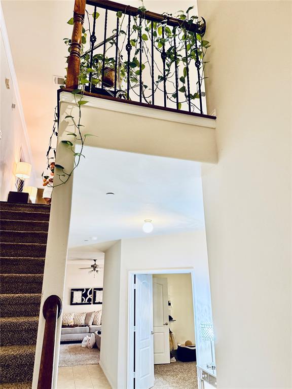 5534 Grosseto Drive