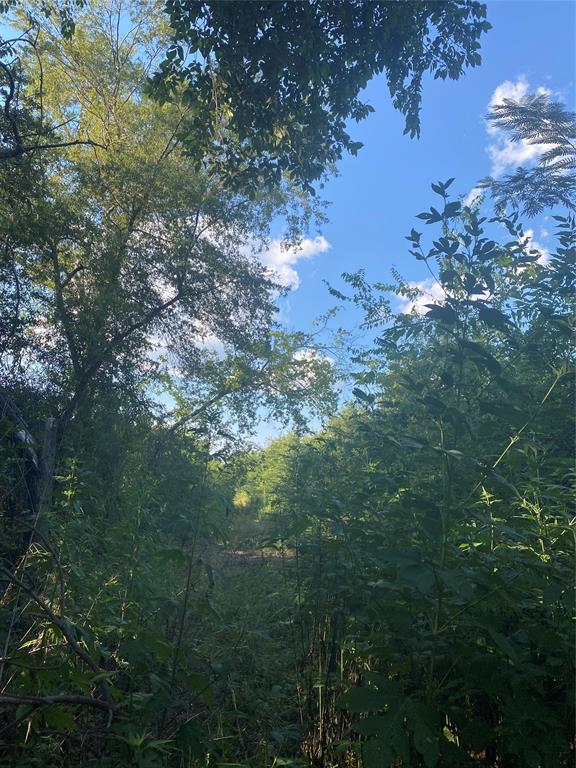 Photo 1 of 7 — LOT 74 Harris, Sulphur Springs, TX 75482