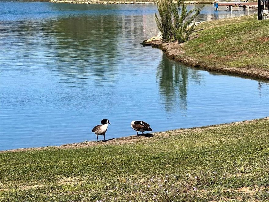 Discover the perfect spot to build your dream home in this exclusive gated community. Nestled on a private water ski lake, this homesite offers stunning views and endless opportunities for outdoor fun. Whether you're water skiing, fishing, paddle boarding, or simply relaxing by the water, this property is your gateway to the ultimate lake lifestyle.  Build your own dock right on the private lake for easy access, or use the ramp in the connecting neighborhood to access Lake Granbury.