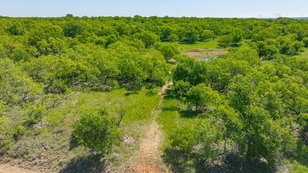 0000 Proffitt Road