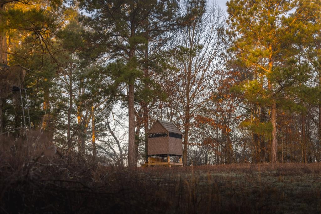 W C WAKELAND SUR - Farm