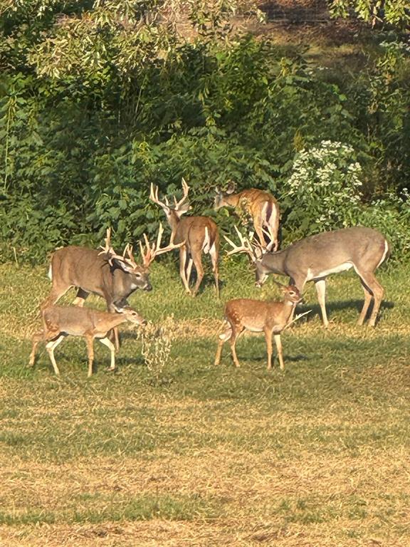 W C WAKELAND SUR - Farm