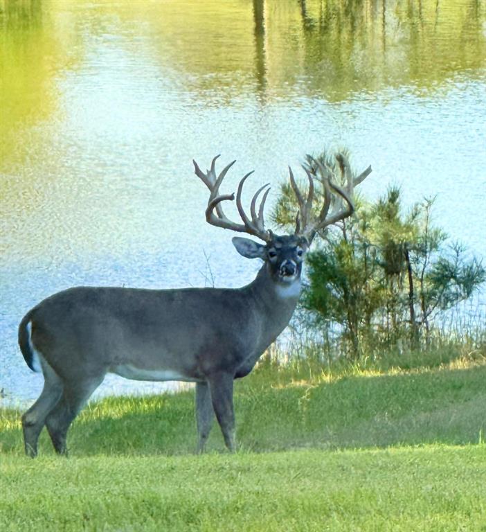 W C WAKELAND SUR - Farm