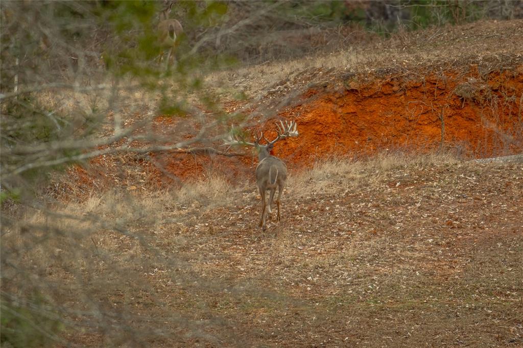 W C WAKELAND SUR - Farm