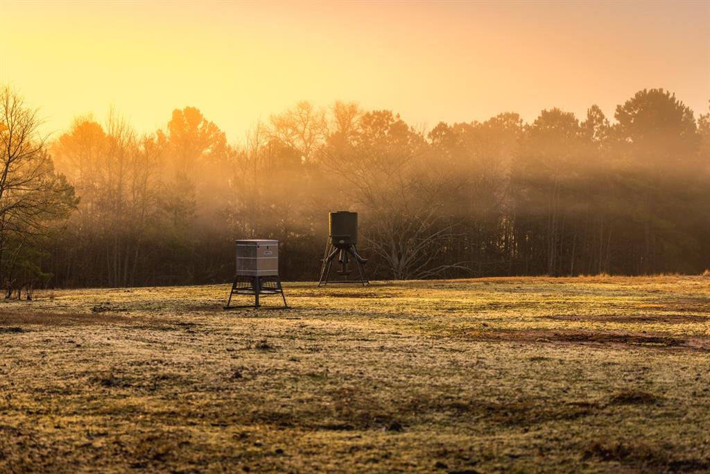 W C WAKELAND SUR - Farm