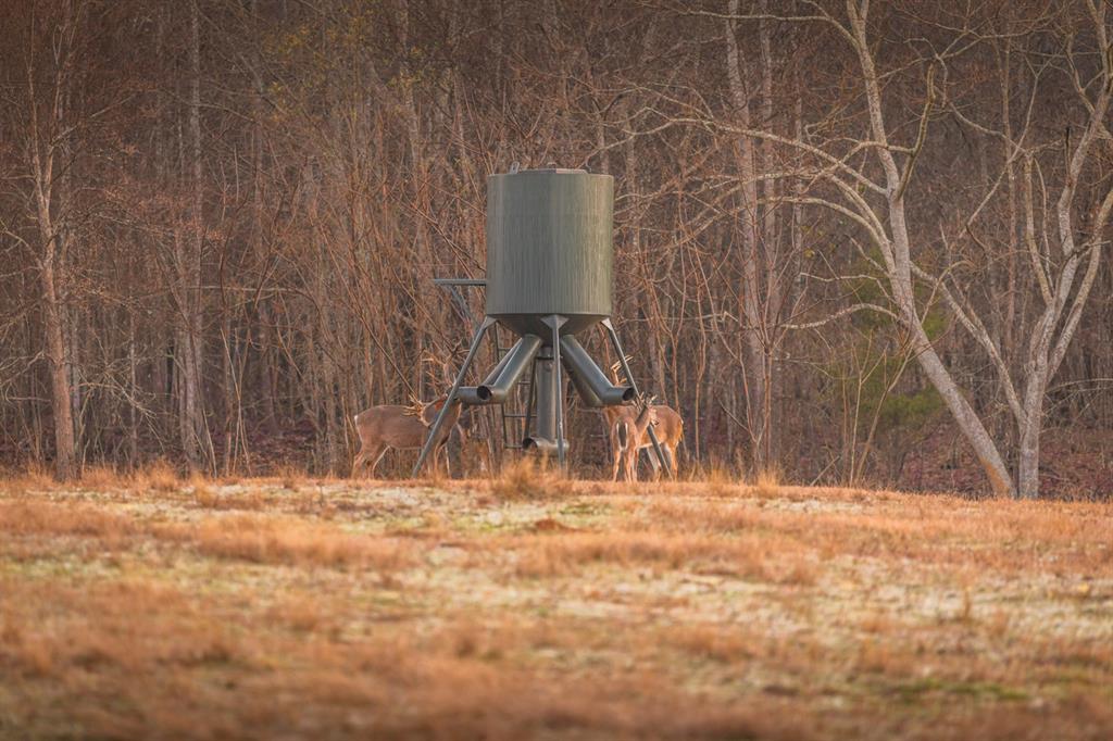 W C WAKELAND SUR - Farm