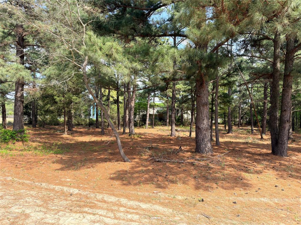 Waters Edge Ranch Ph 01 - Land