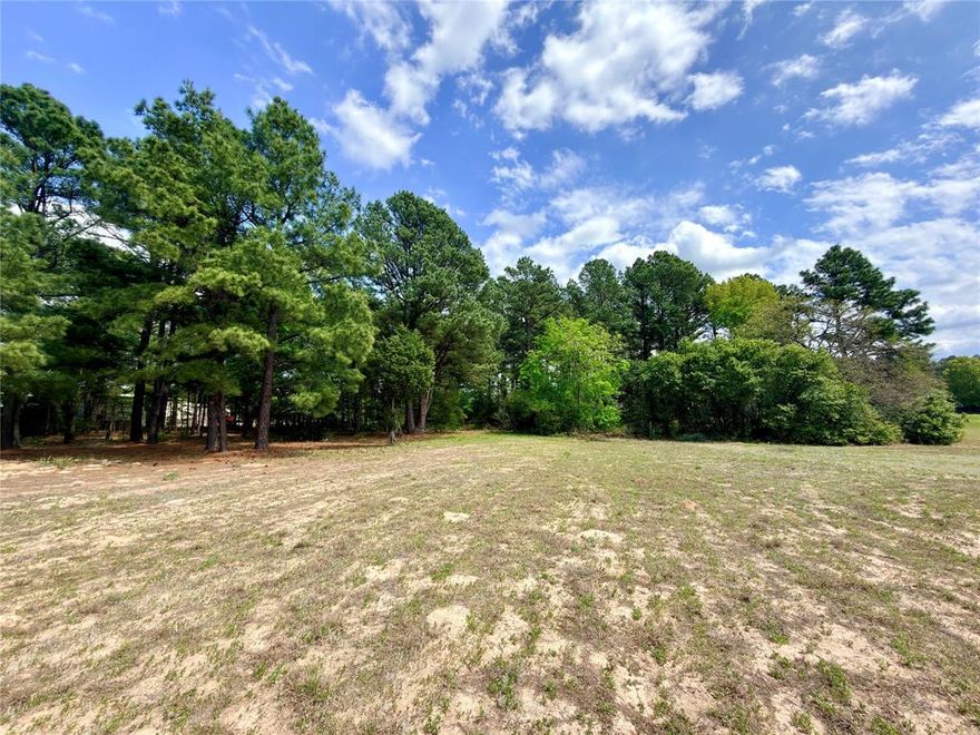 Build your custom home on 2.038 acres in Waters Edge Ranch with approximately 380 feet of road frontage and a site layout that offers both presence and flexibility. Located outside the gated portion of the subdivision but still with access to community amenities, this vacant unimproved lot offers a strong mix of open homesite potential and mature oak and pine trees for added character and privacy. Public water is available, electricity is available, and aerobic septic will be needed. Waters Edge Ranch is a deed-restricted community known for its private lake, marina and boat launch, resort-style pool and cabana, tennis courts, equestrian facilities, and paved roads throughout. If you have been looking for a larger homesite with frontage, usable space, and natural tree cover inside an established acreage community, this lot is well worth a look.
