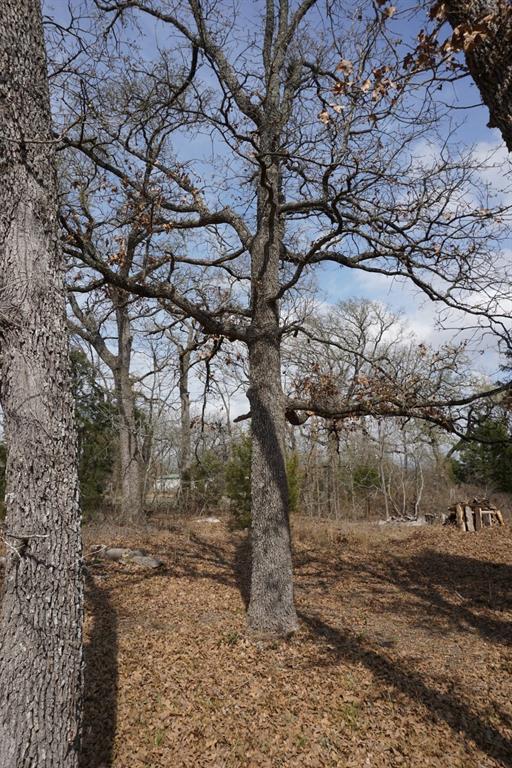 Log Cabin Estates Sec 13 - Land