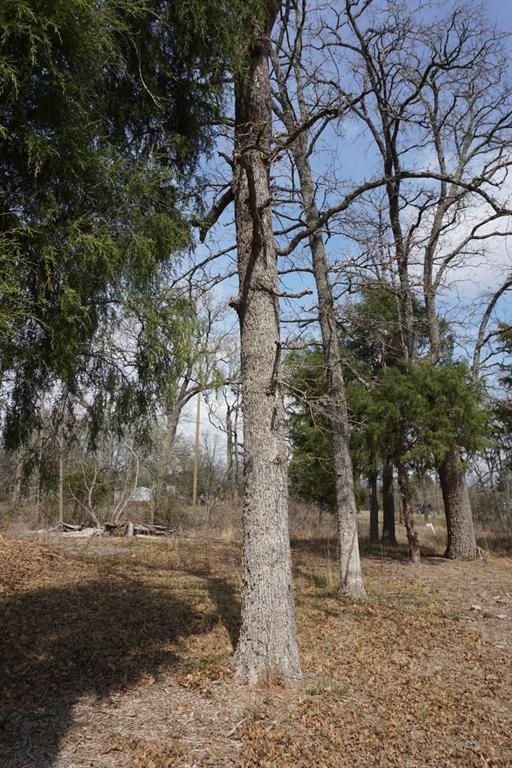 Log Cabin Estates Sec 13 - Land