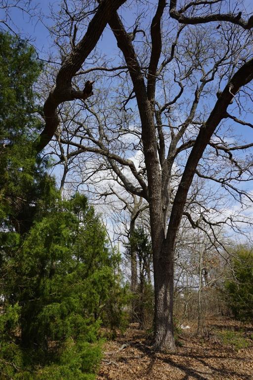 Log Cabin Estates Sec 13 - Land