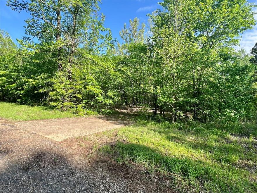 A perfect corner lot in Harts Bluff ISD! Water and electric available! There is also an older slab located on this property! Come see it today!
