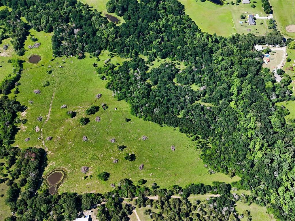 FANNING WILLIAM - Land