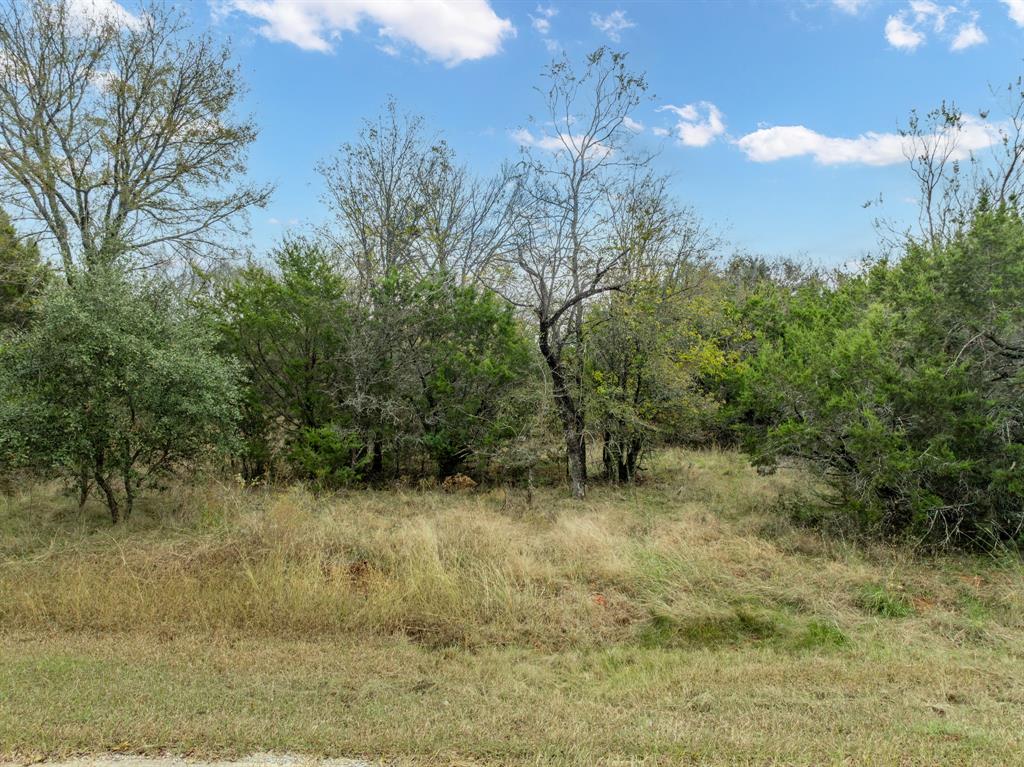 White Bluff #39 - Land