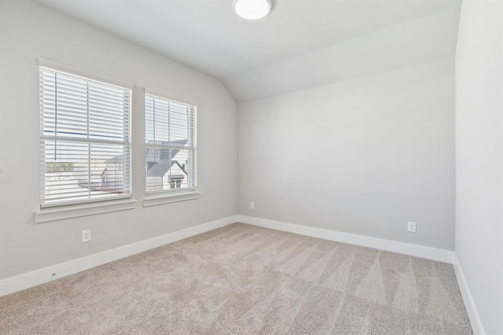 Painted Tree - Residential