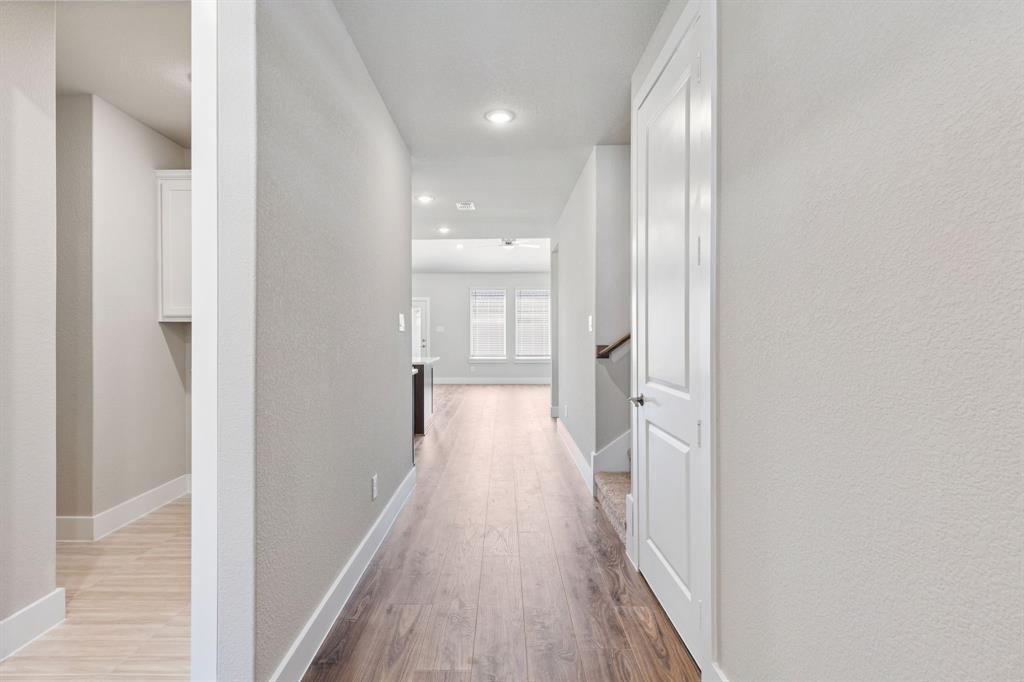 Painted Tree - Residential