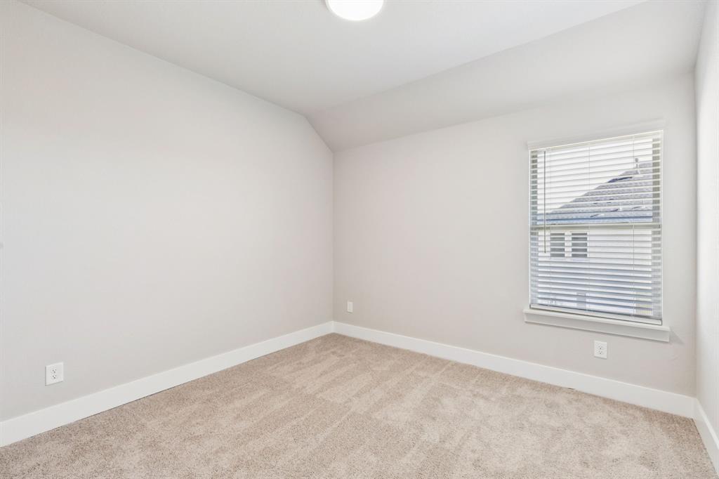 Painted Tree - Residential