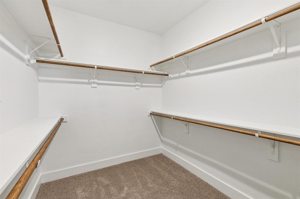 Painted Tree - Residential