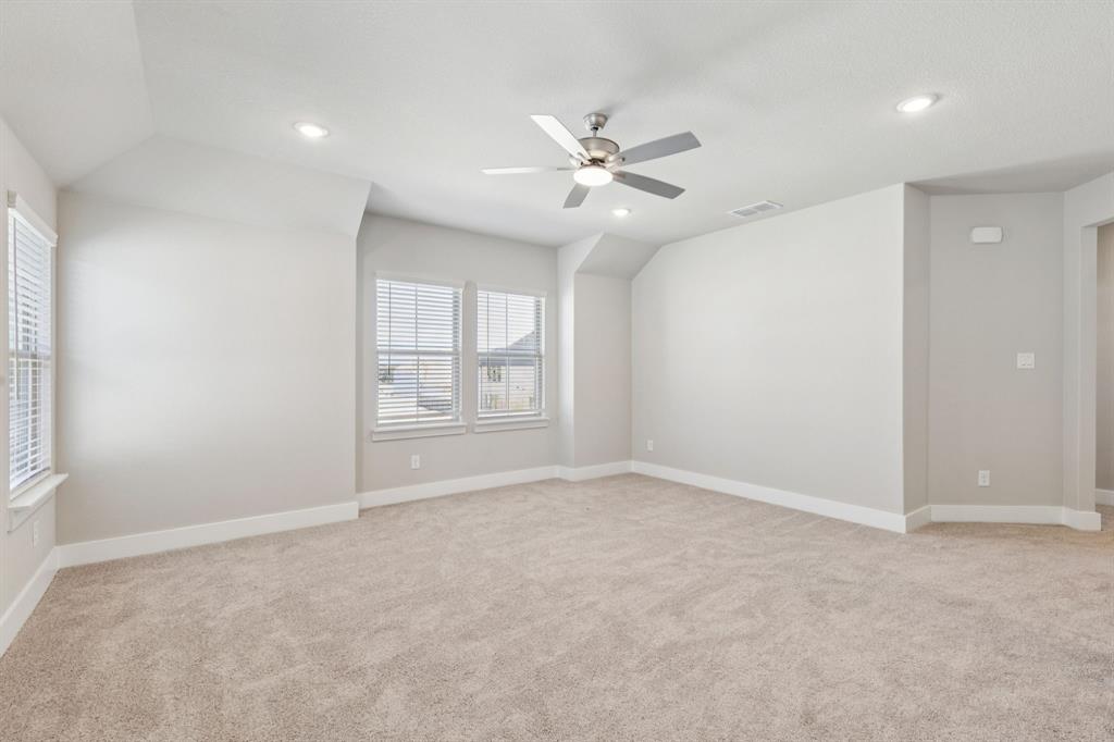 Painted Tree - Residential