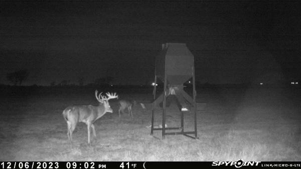 Jh Chaffin Surv Abs #311 - Land