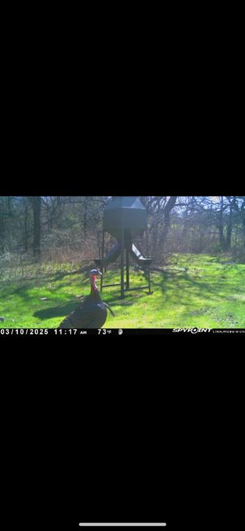 Jh Chaffin Surv Abs #311 - Land