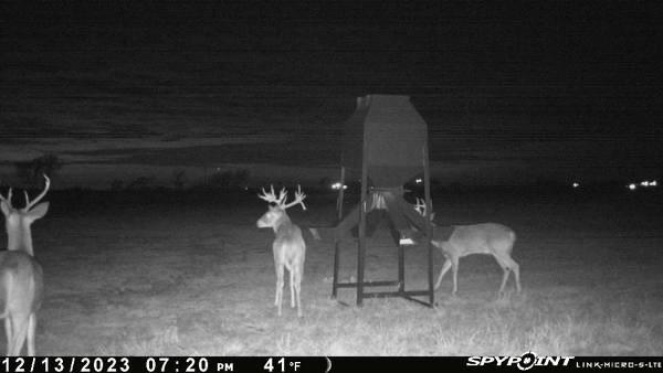 Jh Chaffin Surv Abs #311 - Land