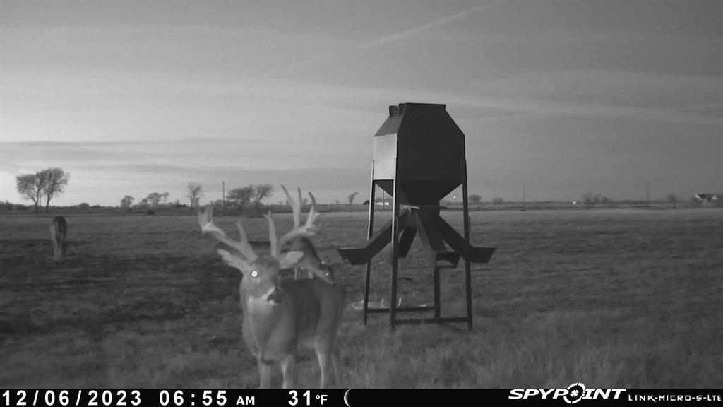 Jh Chaffin Surv Abs #311 - Land