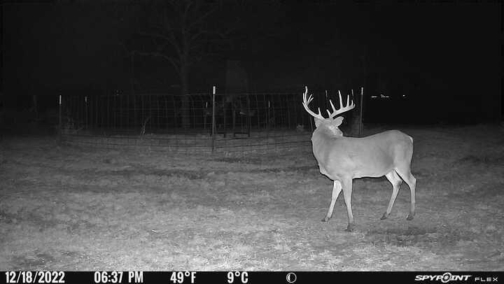 Jh Chaffin Surv Abs #311 - Land