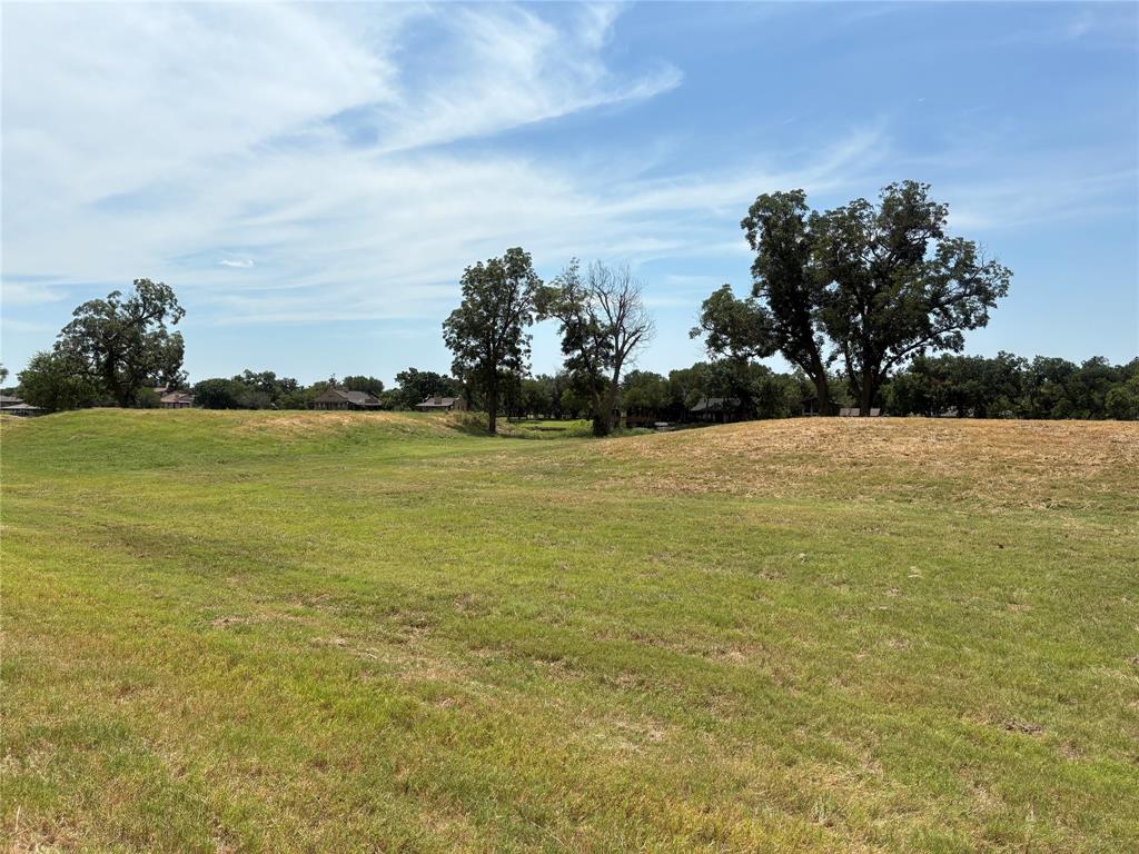 River Ranch on The Brazos - Land