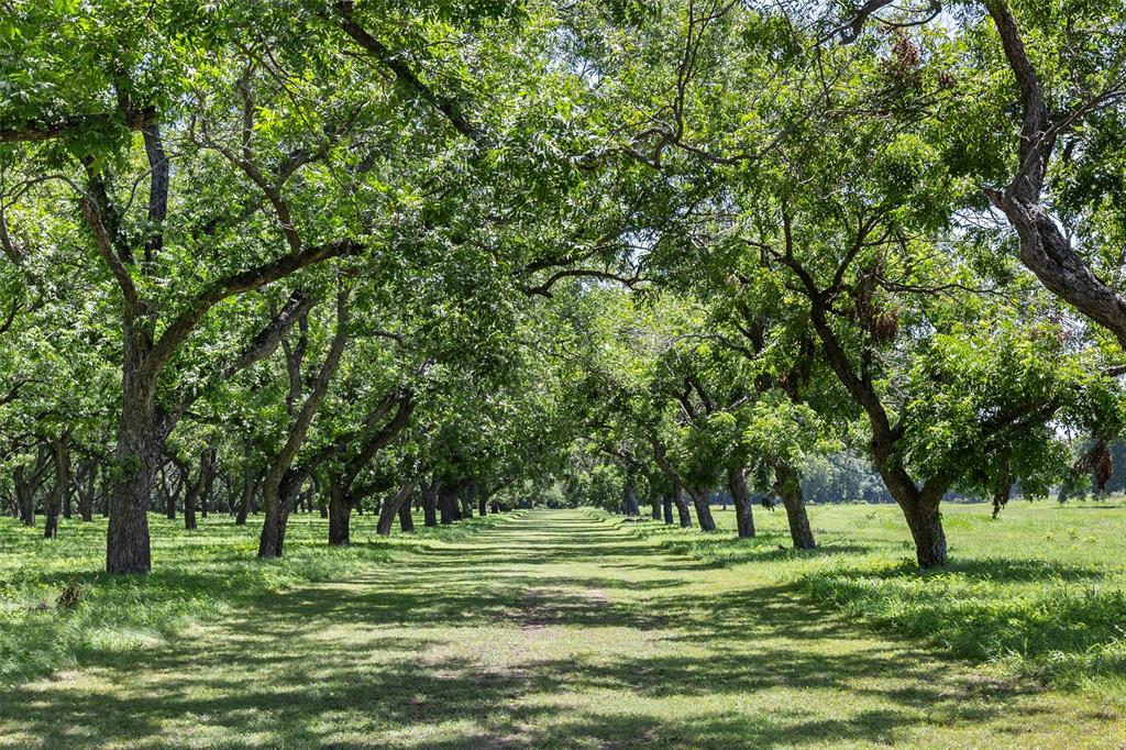 Montrachet - Residential
