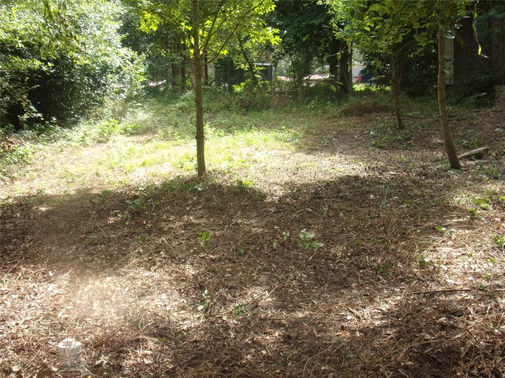 Hickory Hills - Land