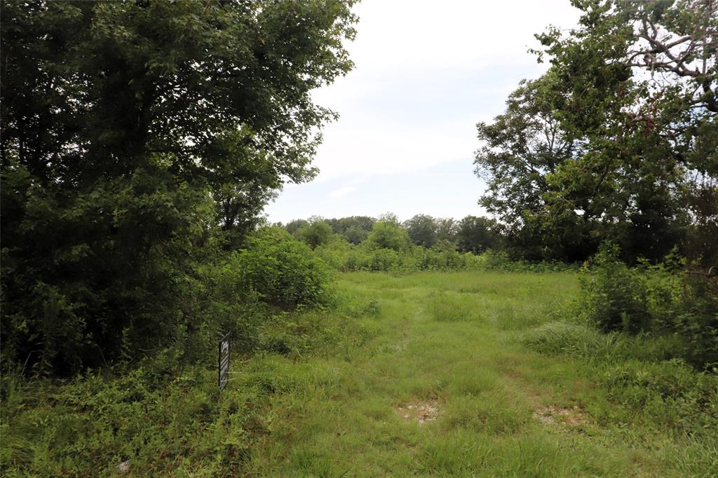 127 County Road 190