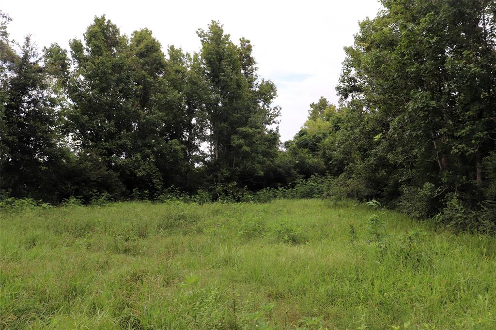 127 County Road 190