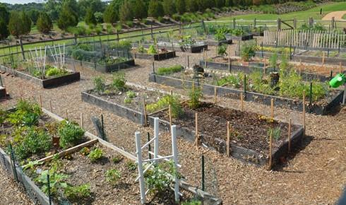 Quarters At The Shop - Residential