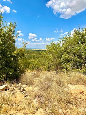 125 PECAN SHELL RD, DUBLIN, TX 76446 - Image d934ac2bee853d5e1a341b388762a2e1/208456537