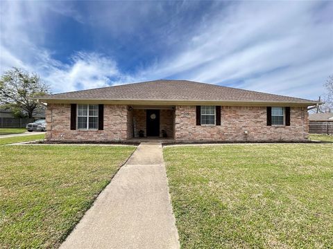 Photo of 203 Marianne Circle, Sulphur Springs, TX 75482 (MLS # 21209498)