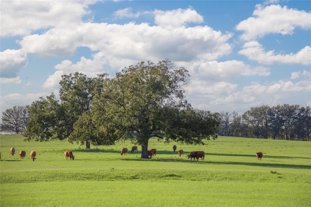 Charles B Howard A 443 - Residential